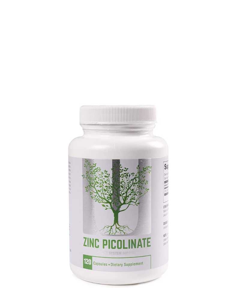 universal nutrition zinc picolinate 120